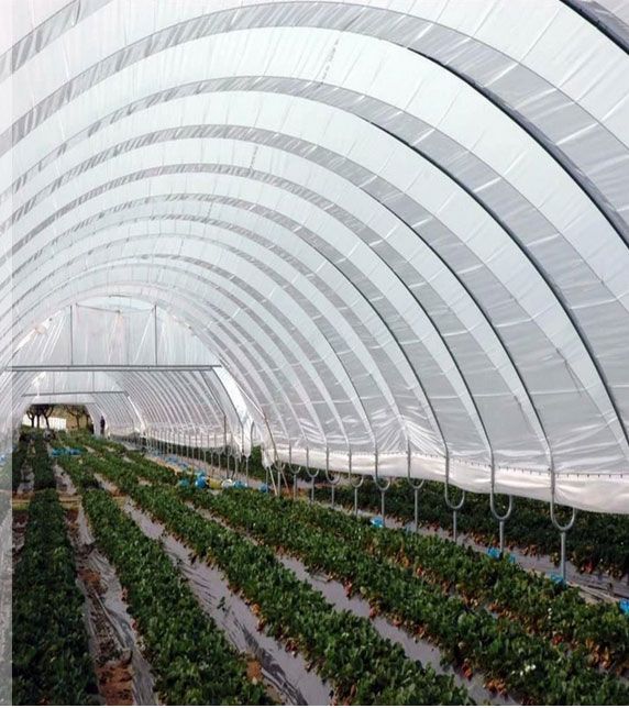 Greenhouse Woven Plastic 8 mil - Solarig 156