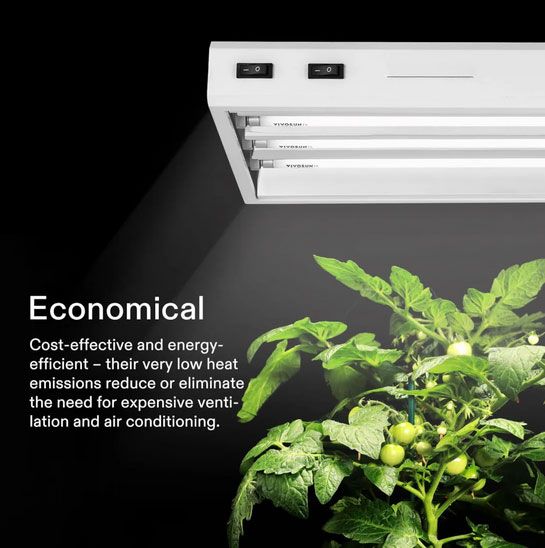 VIVOSUN 2FT/22IN 3000K T5 Fluorescent Grow Light Bulbs 5Pack