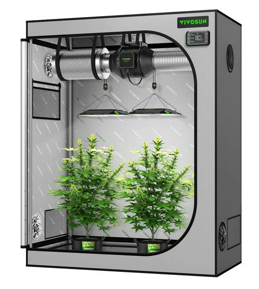 VIVOSUN G425 Upgraded 4x2 Mylar Grow Tent with 19mm Poles, 48